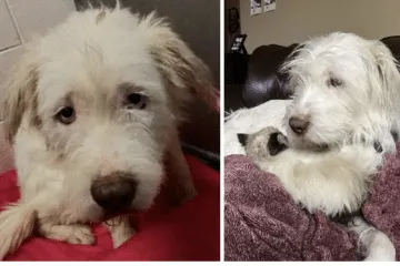 Screenshot 2025 06 11 At 11.18.41 Pm